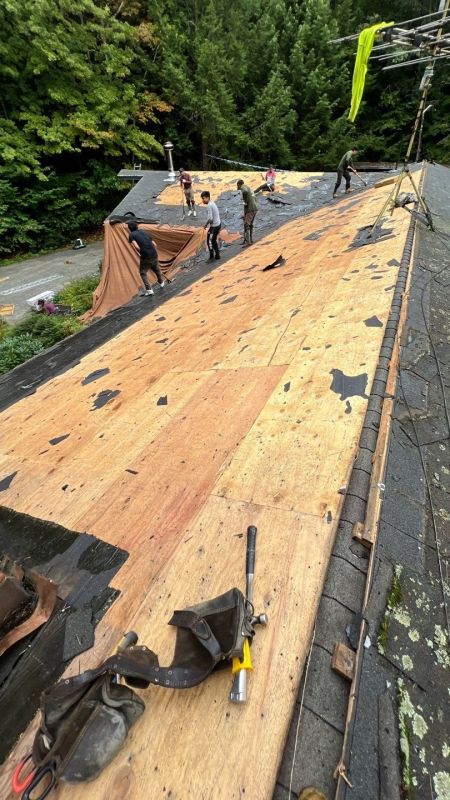 Roof Replacement Options For Residential Properties