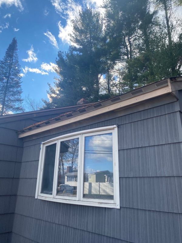Comparing Metal Windows Replacement And Vinyl Options